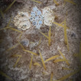 Load and play video in Gallery viewer, LAYLA ✧ 14K SOLID YELLOW GOLD RING
